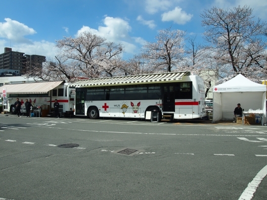 P4010024.jpg