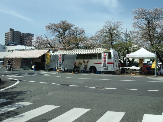 P4010109.jpg