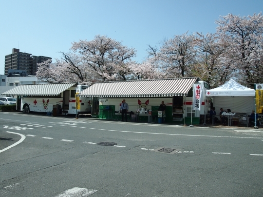 P4024833.jpg