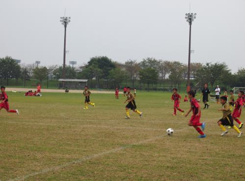 P9254342.jpg