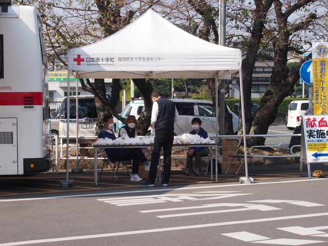 PA280108.jpg