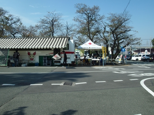 PA290117.jpg