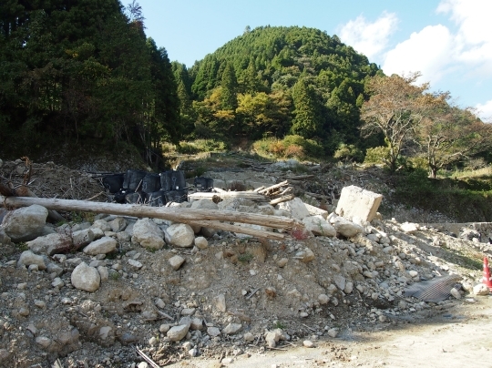 PA304859.jpg