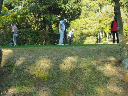 PB170122.jpg