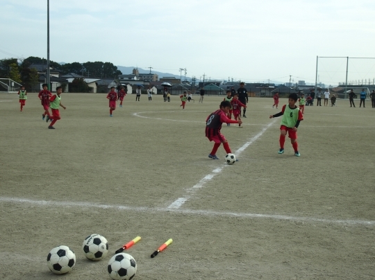 PB170138.jpg